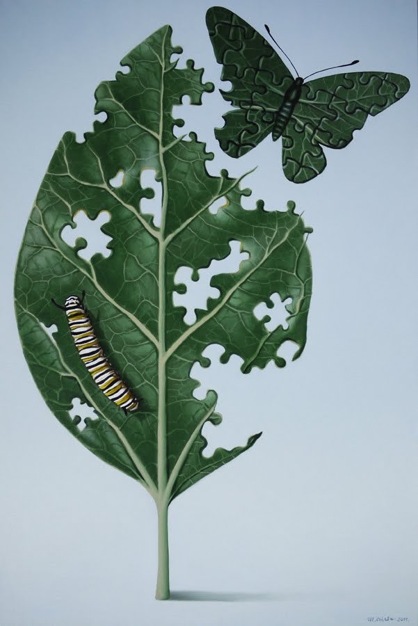      (Mihai Criste),  2