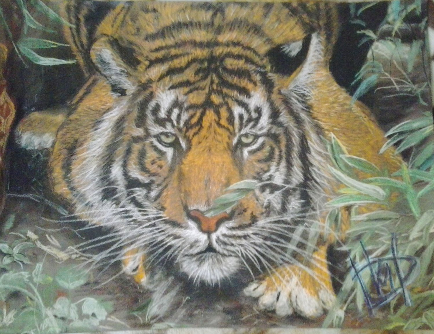 Тигр масляной пастелью