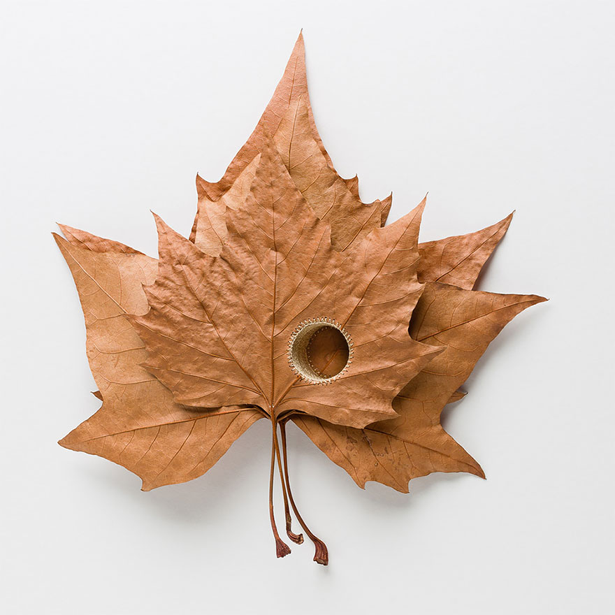 Уникальные скульптуры из листьев от Susanna Bauer