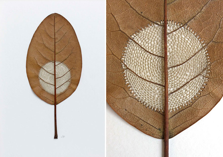 Уникальные скульптуры из листьев от Susanna Bauer