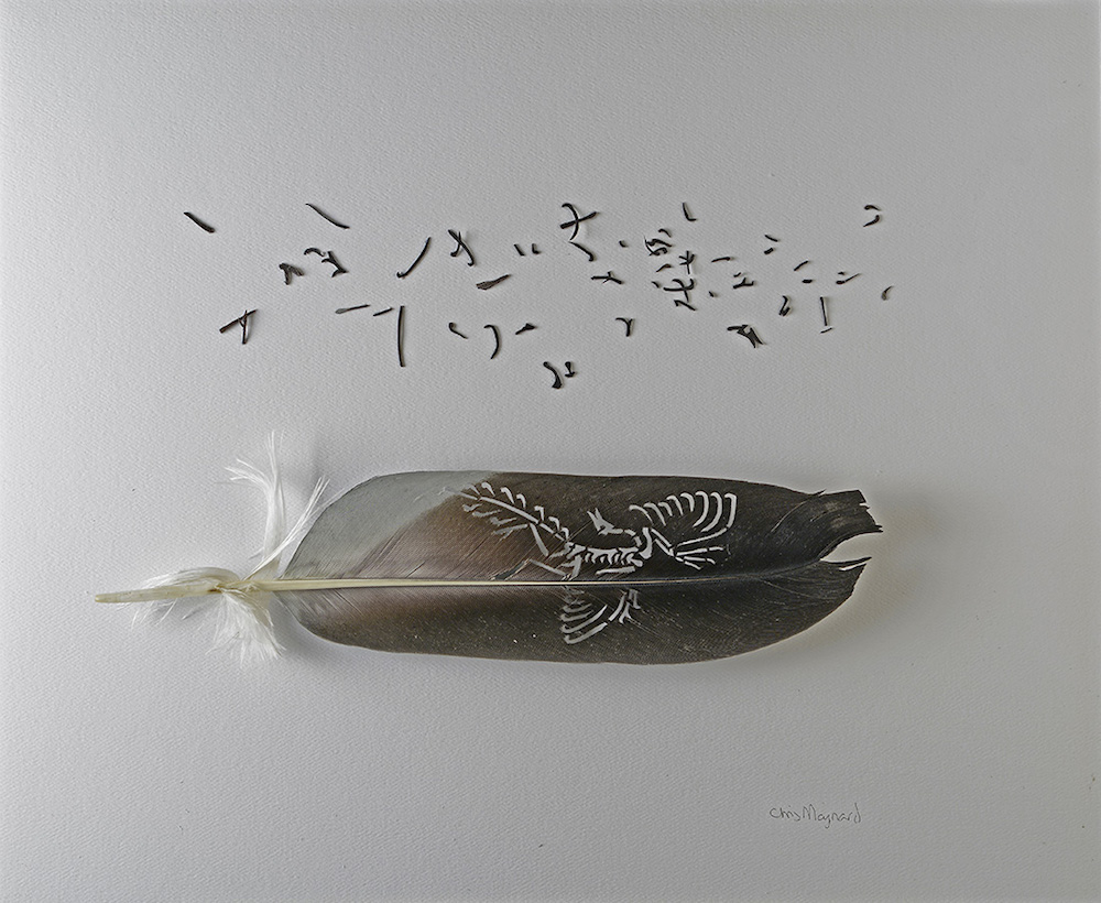 ��������� ����� Chris Maynard