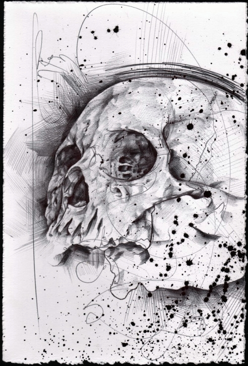 Рисунки животных Jason Limberg Рисунки животных Jason Limberg