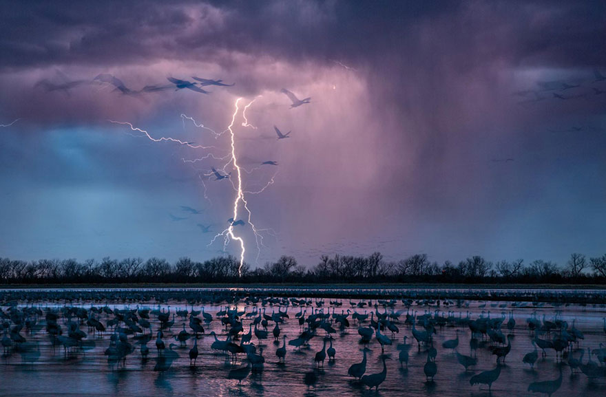 Лучшие фотографии 2016 года от National Geographic Лучшие фотографии 2016 года от National Geographic