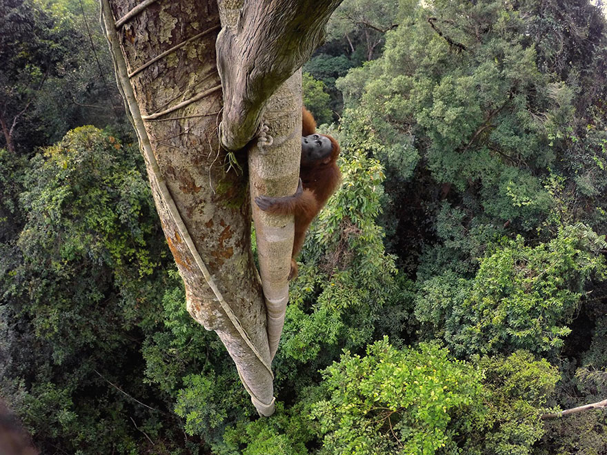 Лучшие фотографии 2016 года от National Geographic Лучшие фотографии 2016 года от National Geographic