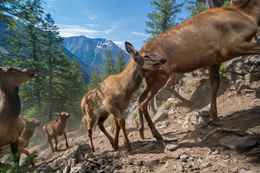 Лучшие фотографии 2016 года от National Geographic Лучшие фотографии 2016 года от National Geographic