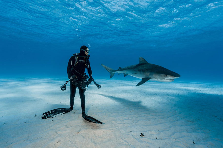 Лучшие фотографии 2016 года от National Geographic Лучшие фотографии 2016 года от National Geographic