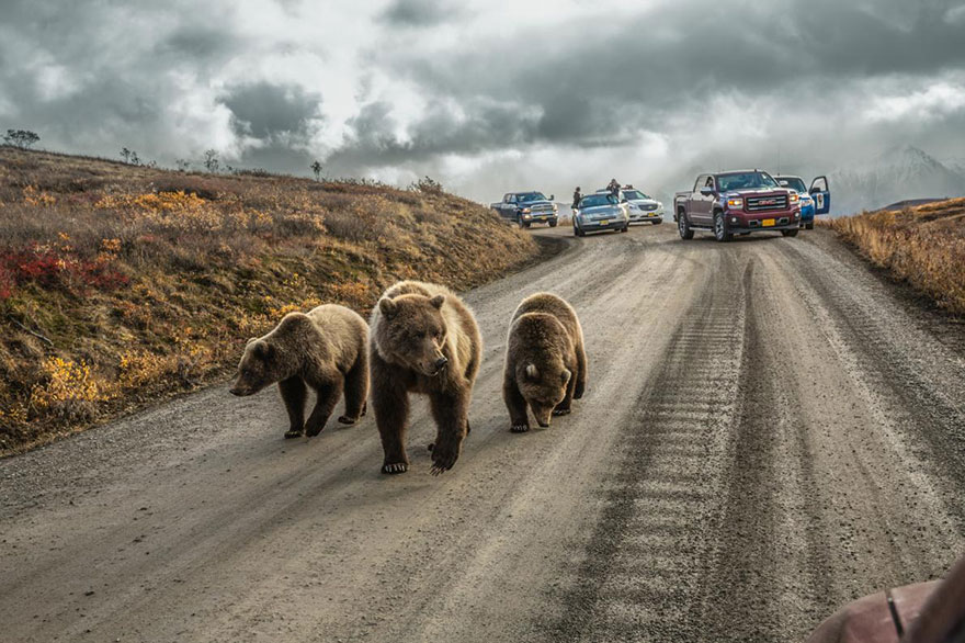 Лучшие фотографии 2016 года от National Geographic Лучшие фотографии 2016 года от National Geographic