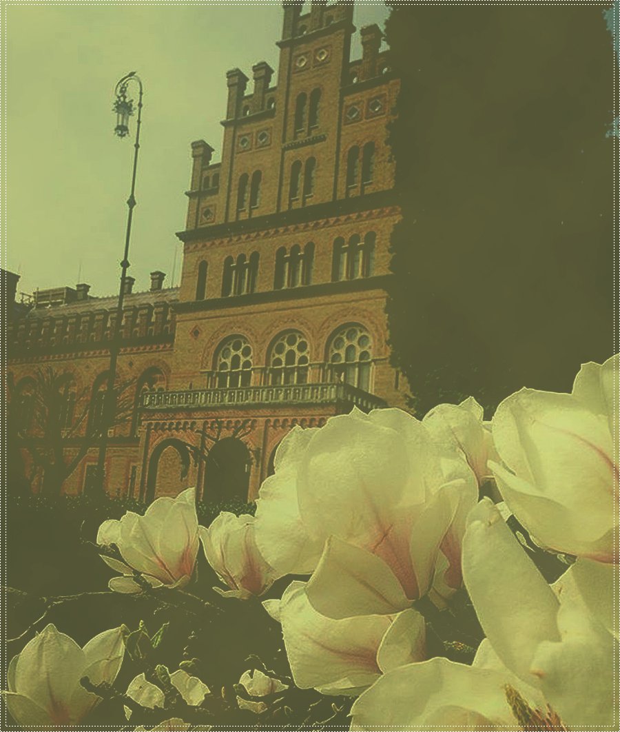 Spring in My Town