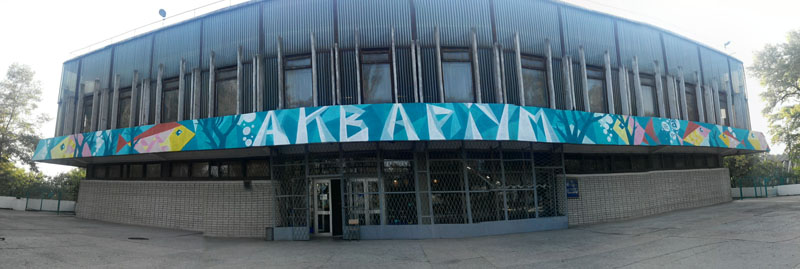 Общественная организация «Творче місто» превратила аквариум ДНУ в арт-объект