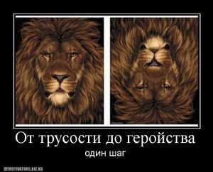 Смелость и Трусость (Владимир Шебзухов)